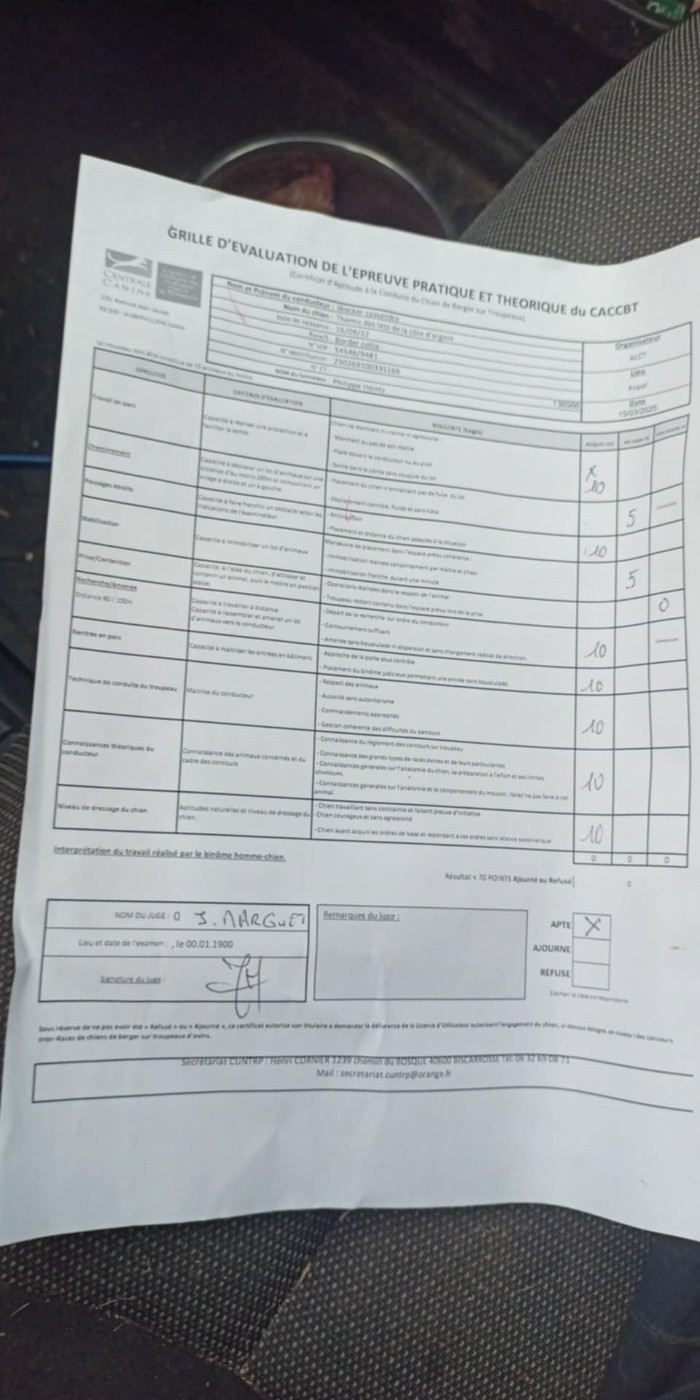 CACCBT et concours inter race